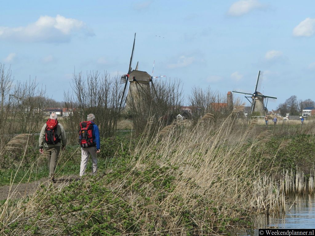 Als je langs de rijen molens loopt  kun je het landschap rond Kinderdijk het beste bekijken. Tip: Mooie wandelroutes in de buurt.